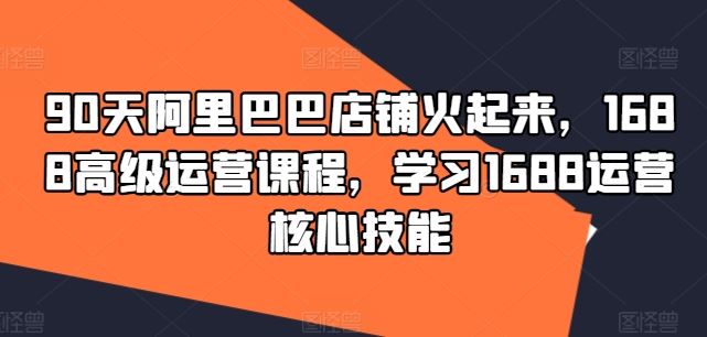 90天阿里巴巴店铺火起来，1688高级运营课程，学习1688运营核心技能-万三聊项目