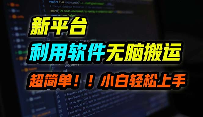 （12203期）B站平台用软件无脑搬运，月赚10000+，小白也能轻松上手-万三聊项目