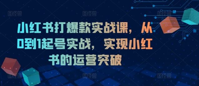 小红书打爆款实战课，从0到1起号实战，实现小红书的运营突破-万三聊项目