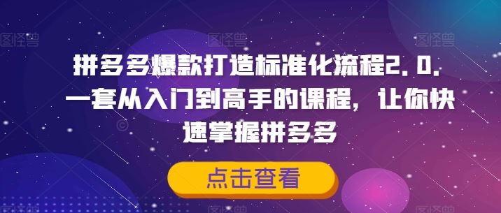 拼多多爆款打造标准化流程2.0，一套从入门到高手的课程，让你快速掌握拼多多-万三聊项目