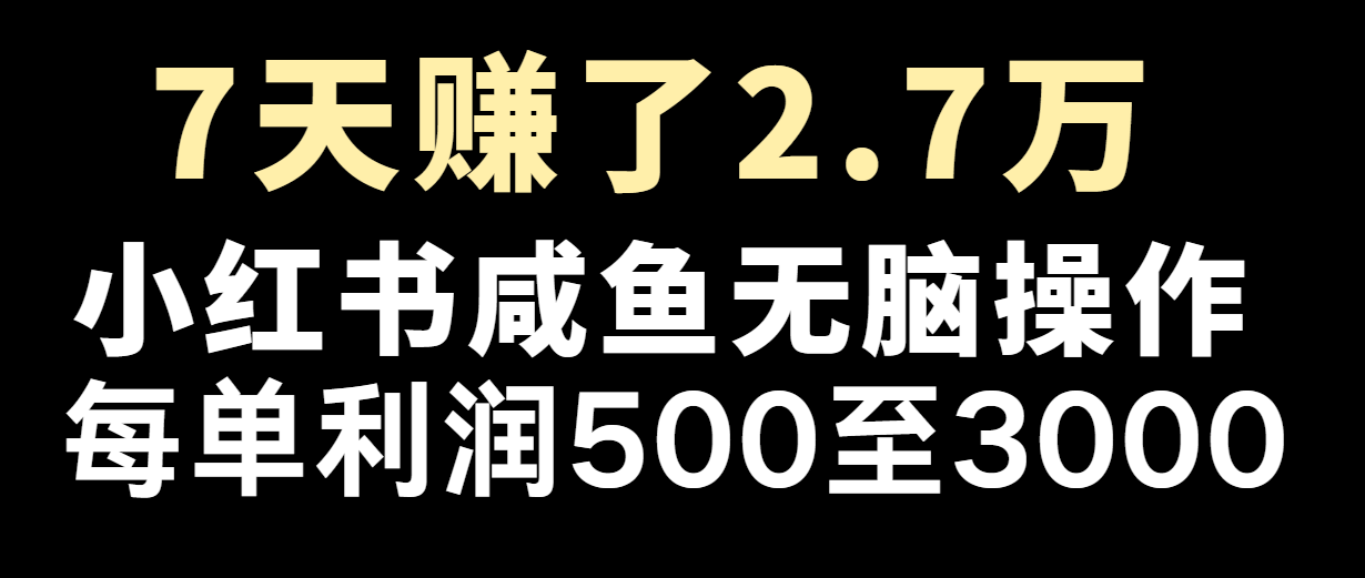 七天赚了2.7万！每单利润最少500+，轻松月入5万+小白有手就行-万三聊项目