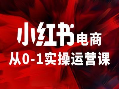小红书电商从0-1实操运营课，让你从小白到精英-万三聊项目