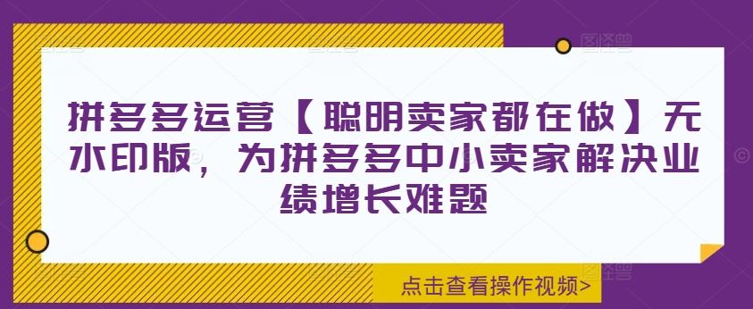 拼多多运营【聪明卖家都在做】无水印版，为拼多多中小卖家解决业绩增长难题-万三聊项目