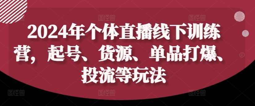 2024年个体直播训练营，起号、货源、单品打爆、投流等玩法-万三聊项目
