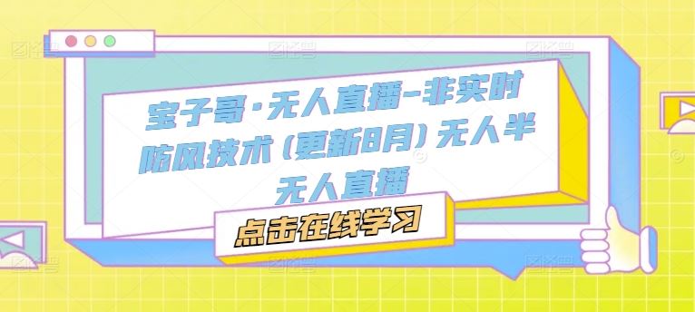 宝子哥·无人直播-非实时防风技术(更新8月)无人半无人直播-万三聊项目
