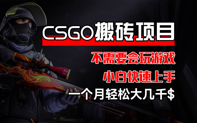 （12332期）CSGO 装备搬砖项目，操作简单，不需要会玩游戏，小白也能快速上手，一…-万三聊项目