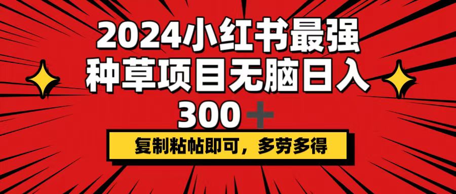 （12336期）2024小红书最强种草项目，无脑日入300+，复制粘帖即可，多劳多得-万三聊项目