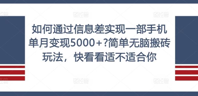 如何通过信息差实现一部手机单月变现5000+?简单无脑搬砖玩法，快看看适不适合你【揭秘】-万三聊项目
