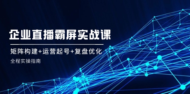 企业直播霸屏实战课：矩阵构建+运营起号+复盘优化，全程实操指南-万三聊项目