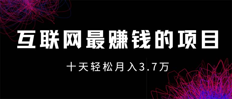 （12396期）互联网最赚钱的项目没有之一，轻松月入7万+，团队最新项目-万三聊项目