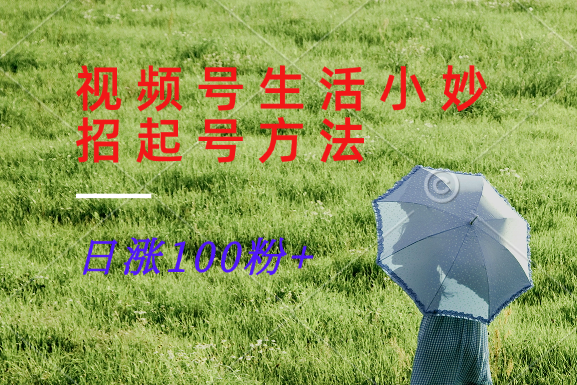 视频号生活小妙招分享赛道， 起号涨粉新方法，日涨100粉-万三聊项目
