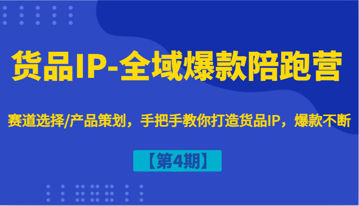 货品IP-全域爆款陪跑营【第4期】赛道选择/产品策划，手把手教你打造货品IP，爆款不断-万三聊项目