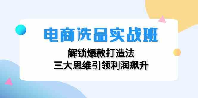 电商选品实战班：解锁爆款打造法，三大思维引领利润飙升-万三聊项目