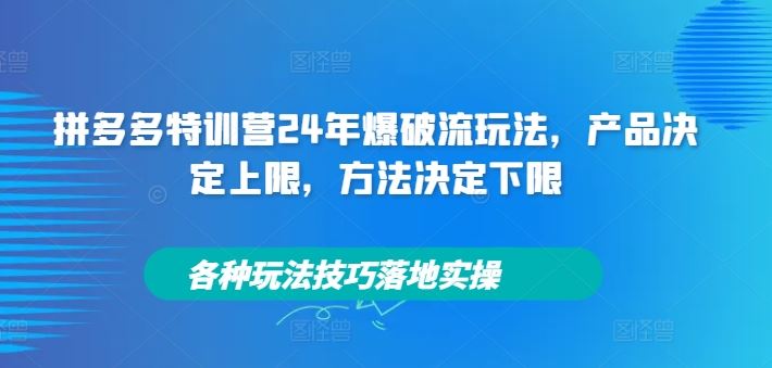 拼多多特训营24年爆破流玩法，产品决定上限，方法决定下限，各种玩法技巧落地实操-万三聊项目