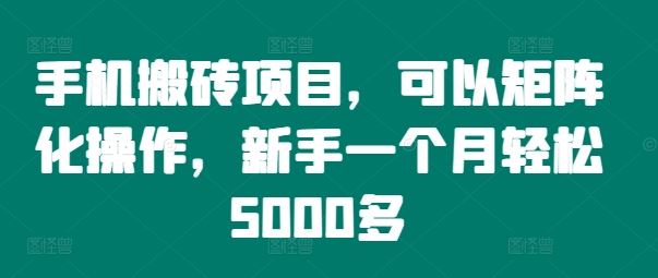 手机搬砖项目，可以矩阵化操作，新手一个月轻松5000多-万三聊项目