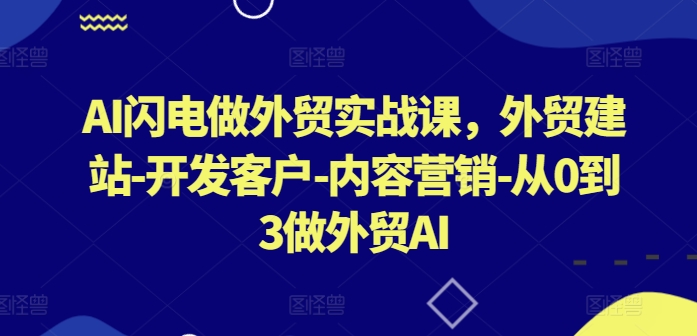 AI闪电做外贸实战课，​外贸建站-开发客户-内容营销-从0到3做外贸AI(更新)-万三聊项目