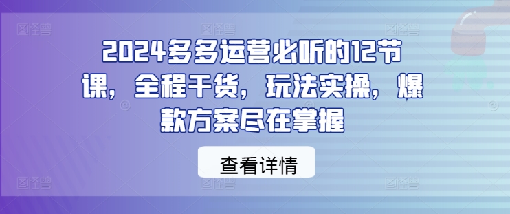 2024多多运营必听的12节课，全程干货，玩法实操，爆款方案尽在掌握-万三聊项目