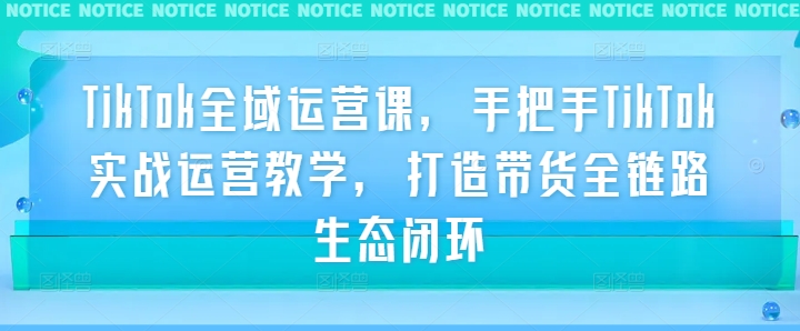 TikTok全域运营课，手把手TikTok实战运营教学，打造带货全链路生态闭环-万三聊项目