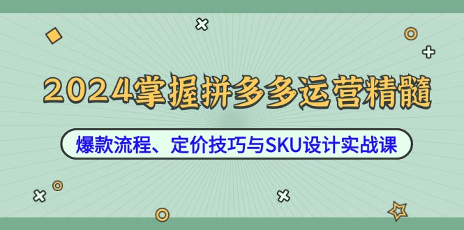 2024掌握拼多多运营精髓：爆款流程、定价技巧与SKU设计实战课-万三聊项目