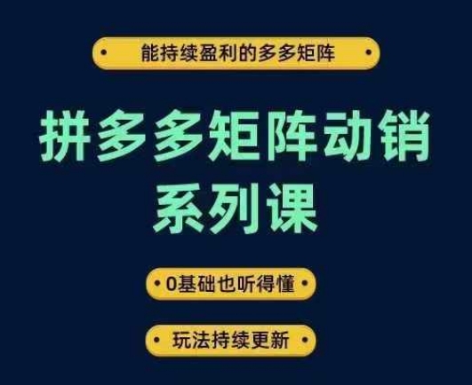 拼多多矩阵动销系列课，能持续盈利的多多矩阵，0基础也听得懂，玩法持续更新-万三聊项目