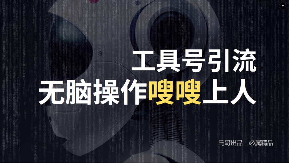 24年抖音最新工具号日引流300+创业粉，日入5000+-万三聊项目