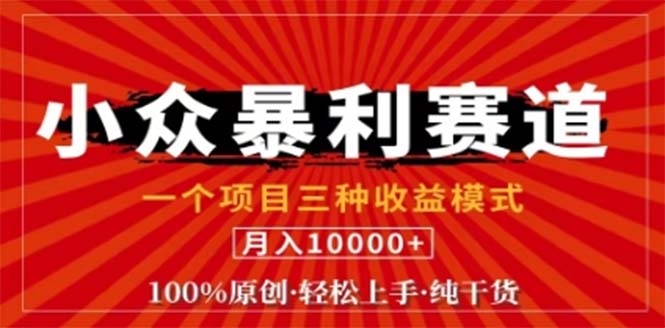 视频号最新爆火赛道，三种可收益模式，0粉新号条条原创条条热门 日入1000+-万三聊项目