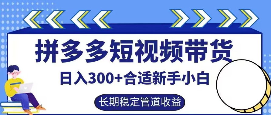 拼多多短视频带货日入300+有长期稳定被动收益，合适新手小白【揭秘】-万三聊项目