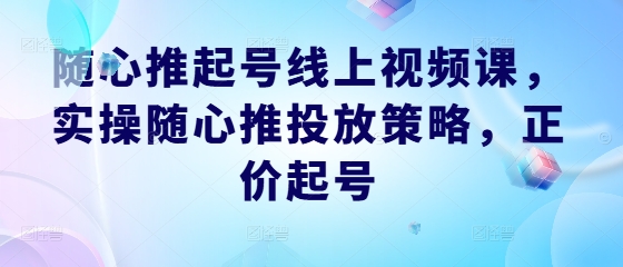 随心推起号线上视频课，实操随心推投放策略，正价起号-万三聊项目