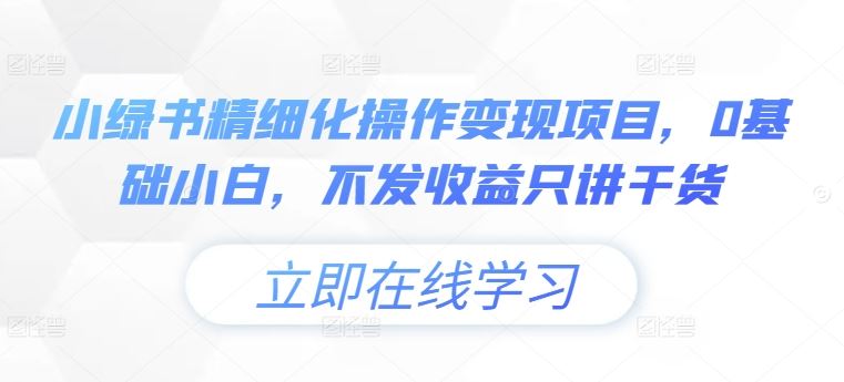 小绿书精细化操作变现项目，0基础小白，不发收益只讲干货-万三聊项目