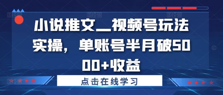 小说推文—视频号玩法实操，单账号半月破5000+收益-万三聊项目