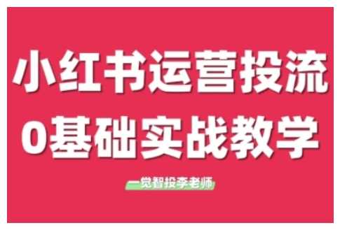 小红书运营投流，小红书广告投放从0到1的实战课，学完即可开始投放-万三聊项目