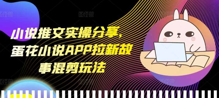 小说推文实操分享，蛋花小说APP拉新故事混剪玩法-万三聊项目