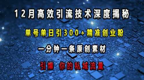 最新高效引流技术深度揭秘 ，单号单日引300+精准创业粉，一分钟一条原创素材，引爆你的私域流量-万三聊项目