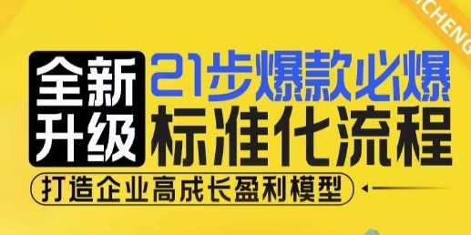 21步爆款必爆标准化流程，全新升级，打造企业高成长盈利模型-万三聊项目
