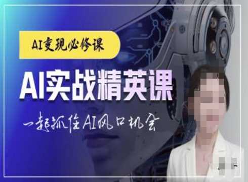 AI实战精英课，chatgptAI实战教程，一起抓住AI风口的机会-万三聊项目