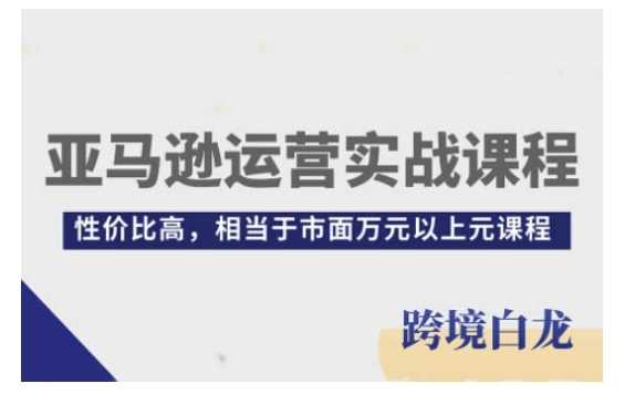 亚马逊运营实战课程，亚马逊从入门到精通，性价比高，相当于市面万元以上元课程-万三聊项目