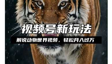 利用动物世界解说视频，赚分成计划收益，轻松月入过W，操作简单【揭秘】-万三聊项目