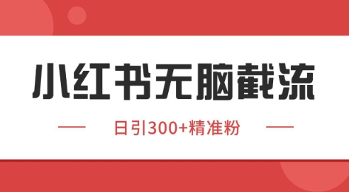 小红书截流同行客源，独家野路子获客玩法 日引200+暴力获客【揭秘】-万三聊项目