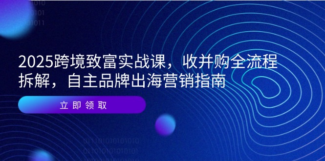 2025跨境致富实战课，收并购全流程拆解，自主品牌出海营销指南-万三聊项目
