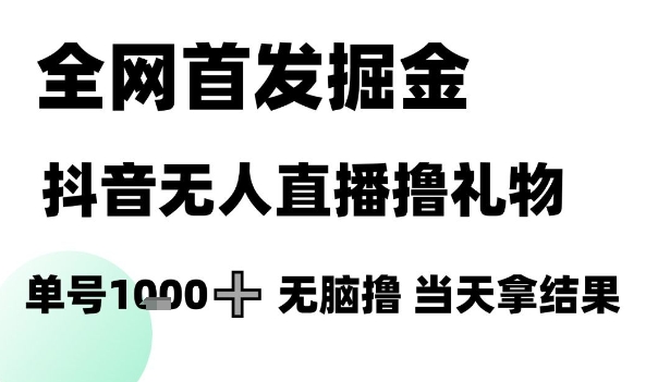 全网首发掘金抖音无人直播撸礼物，单号1k +无脑撸，当天拿结果【揭秘】-万三聊项目