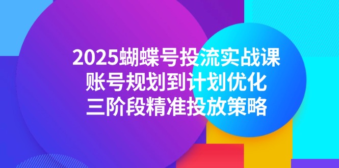 2025蝴蝶号投流实战课，账号规划到计划优化，三阶段精准投放策略-万三聊项目