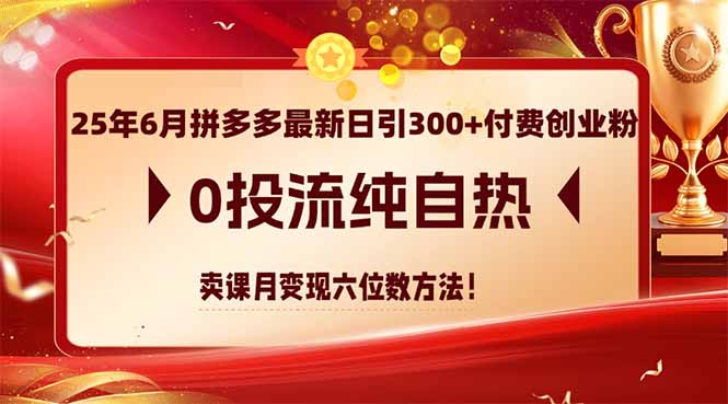 25年6月拼多多最新日引300+付费创业粉，0投流纯自热 卖课月变现六位数方法-万三聊项目