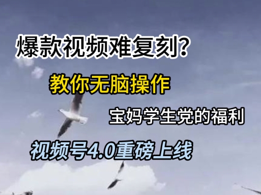 视频号4.0重磅上线，爆款视频难复刻？教你无脑操作宝妈学生党的福利【揭秘】-万三聊项目