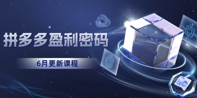 拼多多盈利密码：从烧钱推广到印钞模型，底层逻辑重构指南(6月更新-万三聊项目
