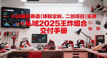 小众暴利赛道(球鞋定制，二创项目)实体+私域2025王炸组合  交付手册-万三聊项目
