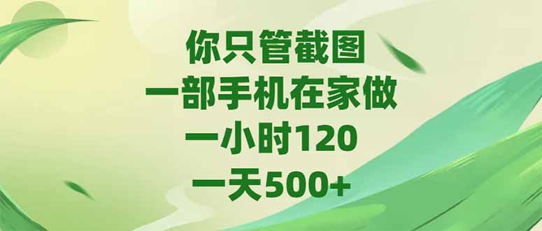 你只管截图，一部手机在家做，一小时120，-天500+-万三聊项目