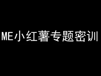 ME小红薯专题密训-小红书电商教程-万三聊项目