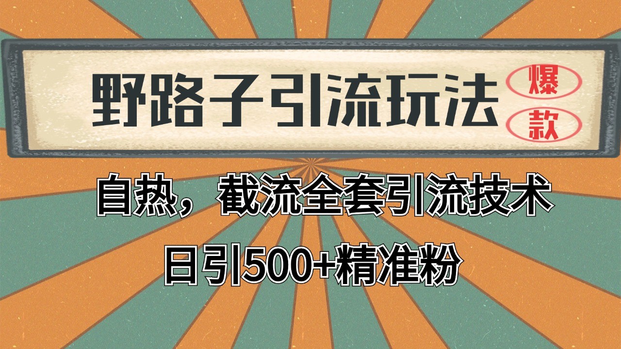 2024首发野路子引流玩法截流自热全平台打法，全自动引流【日引2000+精准客户】-万三聊项目