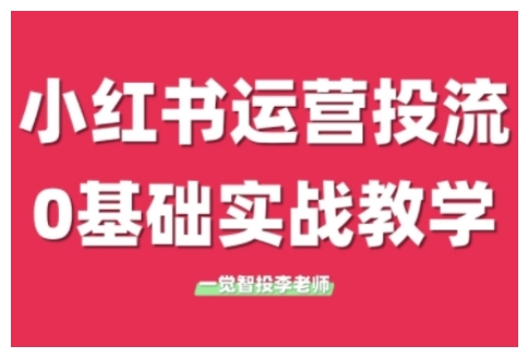 小红书运营投流，小红书广告投放从0到1的实战课，学完即可开始投放(更新)-万三聊项目