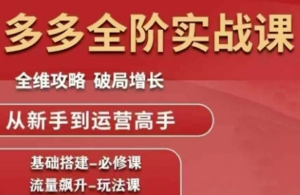 拼多多全阶实战课程，全维攻略，破局增长，从新手到运营高手-万三聊项目